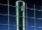 SGS PVC beschichtete Beweis Holland Wire Mesh Fence Weldeds Mesh Rolls For Yard Weather
