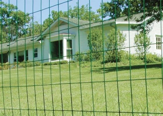 Grün beschichtete 0.35mm-6mm Draht Mesh Roll Welded Wire Mesh, der Rolls-Antialtern einzäunt