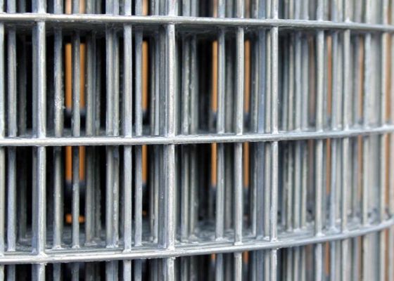 50X50 galvanisierte geschweißten Draht Mesh Rolls der 6 Fuß-Draht-Zaun Roll Abrasion Proof