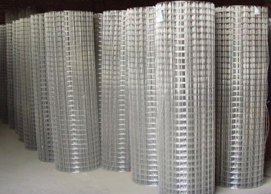 15 m 20 m 30 m aus Edelstahl geschweißtes Drahtnetz als Geflügelkäfig oder Zaun verwendet