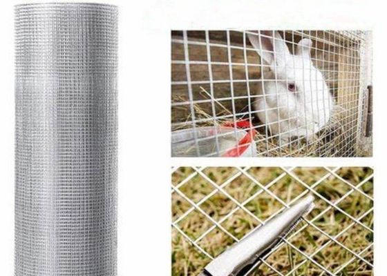 15 m 20 m 30 m aus Edelstahl geschweißtes Drahtnetz als Geflügelkäfig oder Zaun verwendet