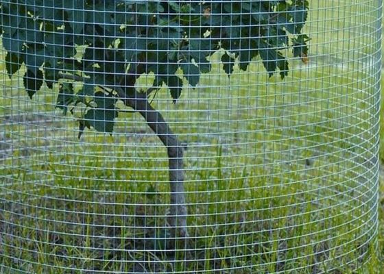 Schweißdrahtnetze aus Edelstahl für landwirtschaftliche Anwendungen