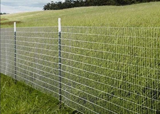Schweißdrahtnetze aus Edelstahl für landwirtschaftliche Anwendungen