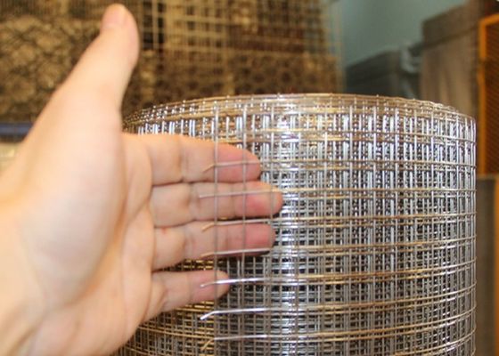 Galvanisiertes geschweißtes Drahtnetz mit schützender Kunststofffarbe