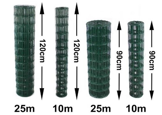 Korrosionsbeständiges PVC-beschichtetes geschweißtes Drahtnetz mit 0,5 mm bis 6,0 mm Drahtdurchmesser