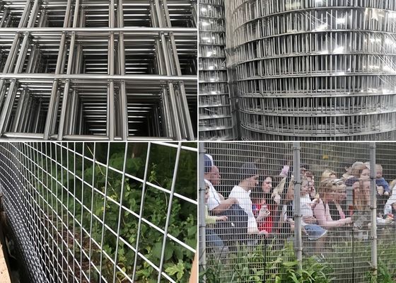 Hoch korrosionsbeständige geschweißte Maschenrollen