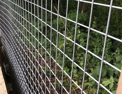 Dauerhafte, warmgetränkte, galvanisierte, geschweißte Maschenrollen für Tierkäfige
