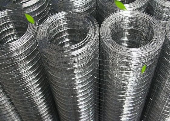 Hot Dip Galvanized Welded Wire Mesh Roll 30M für Vogelhäuser