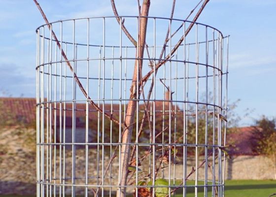 Punktschweißtechnik für geschweißten Drahtgitter mit anpassbarer Breite und galvanisierter Oberfläche für dauerhaften Schutz