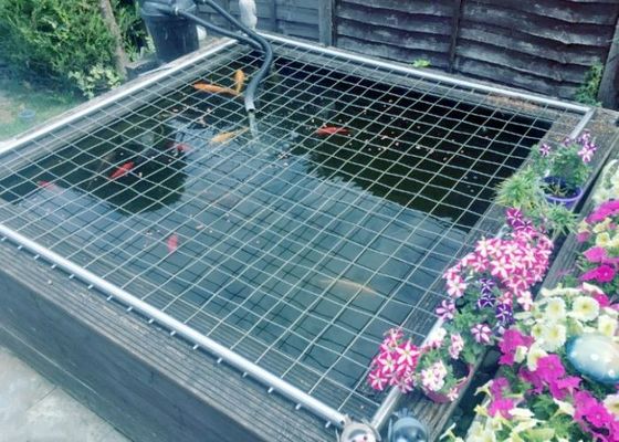 Punktschweißtechnik für geschweißten Drahtgitter mit anpassbarer Breite und galvanisierter Oberfläche für dauerhaften Schutz