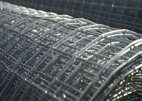 1mm-3mm heißer eingetauchter galvanisierter geschweißter Draht Mesh Animal Cage Wire Mesh nicht rostend