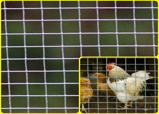 1/2 Edelstahl ' X 1/2“ schweißten hochfesten Mesh Rolls For Breeding Protection