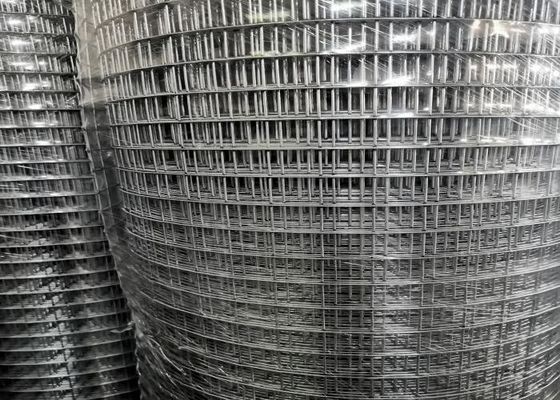 Oem Verzinkte weiß geschweißte Mesh Rollen 25,4 mm X 25,4 mm
