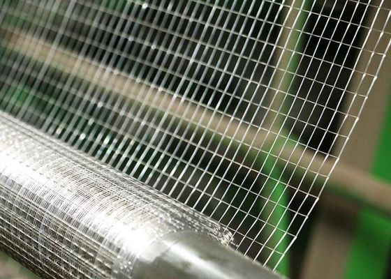 15m geschweißtes Netz Rollen Gerade Kante 60cm Breite 12 Gauge