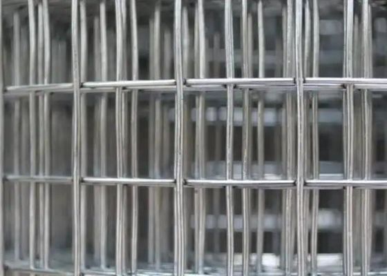 Schwere geschweißte Maschenrollen mit einem Durchmesser von 1' x 1' mit Eisendraht aus Edelstahl
